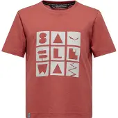 Salewa Graphic T-shirt Med Korta ärmar