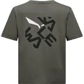 Salewa Graphic T-shirt Med Korta ärmar
