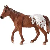 MOJO F7150 - GOOD - Chestnut Appaloosa hingst