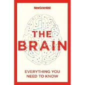 The Brain