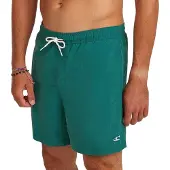 O'Neill Vert 16'' Boardshorts botanical heat Storlek XL