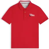 Tommy Hilfiger Regular Fit Graphic Embroidery Polo Shirt