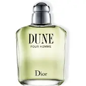 Dior Dune Pour Homme Eau de Toilette Spray 3.4 oz