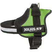 JULIUS K-9 Power Hundsele