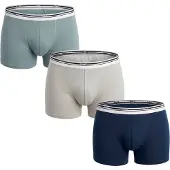 Dim Förpackning med 3 herrboxershorts i bomull, färger D306XP