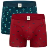 Adam Boxershorts 'Sunnies' marinblå / aqua / gul / blodröd