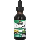 Natures Answer , Olivoljextrakt, Standardiserat, Alkoholfritt, 600 mg, 2 fl oz (60 ml)
