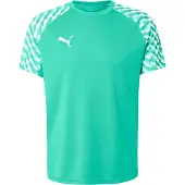 Puma Tränings T-Shirt teamLIGA26 - Sport Grön/White, storlek Small