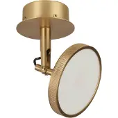 UMAGE LED-spotlight Asteria Spot, Ø 12 cm, mässingspläterad dimbar, Mässing / guld, Vardagsrum / matsal, Aluminium / grå / zink, Design, LED-taklampa