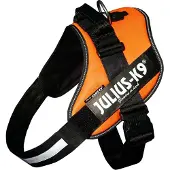 Julius-K9 Idc Power Hundsele