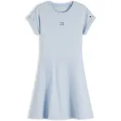Tommy Hilfiger Tonal Flag Logo Skater Dress