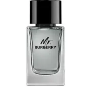 Burberry Mr Edt 100ml