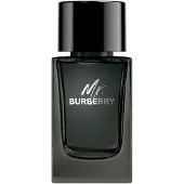 Burberry Mr. Eau de Parfum 100 ml
