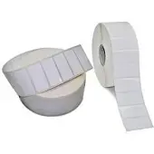 Zebra PolyE 3100T Gloss - Polyetylen (PE) - blank - permanent akrylhäftning - vit - 51 x 25 mm 2398 etikett (er) (1 rulle/rullar x 2398) etiketter