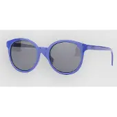Vans Rise And Shine Solglasögon royal cobalt