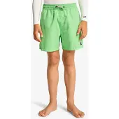 Billabong All Day Lb Simshorts
