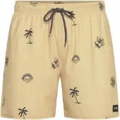 Rip Curl Sessions Volley Simshorts