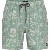 Rip Curl Sessions Volley Simshorts