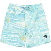 Quiksilver Everyday Printed Volley 14´´ Simshorts