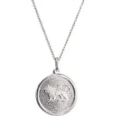 Saurum stjärnteckenhalsband Lejonet SA567000005