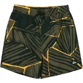 Quiksilver Everyday Printed Volley 14´´ Simshorts