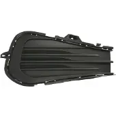 BLIC Ventilationsgaller, stötfångare 6502-07-9563916P
