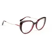 Ana Hickmann Optical Frame HI6334T T01 51 Titanium