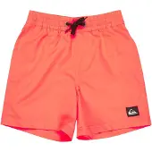 Quiksilver Everyday Volley 12´´ Simshorts