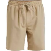 Quiksilver Badshorts 'TAXER AM' mörkbeige