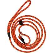 Rexa Dog Leash With Reflextors Orange