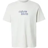 Calvin Klein Relaxed Logo T-Shirt