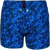 Arena Evo Beach X Allover Simshorts