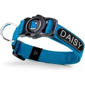 My Family Memopet Id Personalizable Hundhalsband