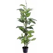 Europalms Dieffenbachia, konstgjord, 120 cm (82508306)