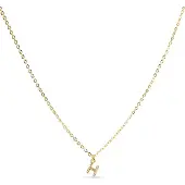 Luxenter Halsband med Skimrande Zirkonia 18k guldfinish - Alfabet