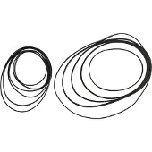 Sram Red Axs Kassett Låsring