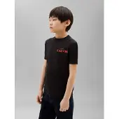 Calvin Klein Logo T-Shirt