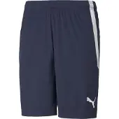 Puma Shorts Teamliga - Navy, storlek X-Small