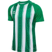 Hummel Match Striped T-shirt Med Korta ärmar