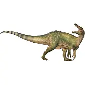 Papo 55101, 5,7 kg