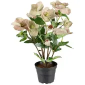 Newport Julros konstväxt rosa