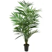 Newport Kentia palm konstväxt grön