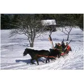Slim Aarons North Conway Sleigh