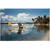 Slim Aarons Arriving In Style