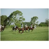 Slim Aarons Polo Match