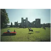 Slim Aarons Polo At Cowdray Park