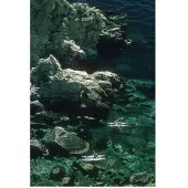 Slim Aarons Rowing Off Sicily