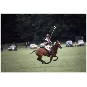 Slim Aarons Polo Prince