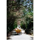 Slim Aarons Oleander Drive