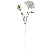 Newport Blomsterkörvel vit